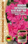 Левизия Котиледон Elise Ruby Red однолетник 3шт (Ред.Сем)