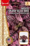 Гипоэстес Splash Select Rose 4шт (Ред.Сем)