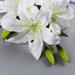 Цветы искусственные "Лилия галант" d-13 см 66 см, белый
