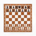 Демонстрационные шахматы 40 х 40 см "Время игры" на магнитной доске, 32 шт, коричневые