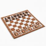 Демонстрационные шахматы 40 х 40 см "Время игры" на магнитной доске, 32 шт, коричневые