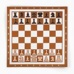 Демонстрационные шахматы 60 х 60 см "Время игры" на магнитной доске, 32 шт, коричневые