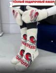Комплект варежки и носки овечья шерсть снегири 10.23