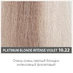 10.22 очень-очень светлый блондин интенсивный фиолетовый колор-гель BACO COLOR GLAZE, 60 мл
