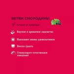 Little One Ветви смородины, 50 г