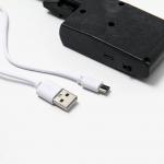 Игрушка для кошек Пижон