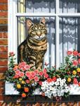 Полосатый котик на цветочном подоконнике