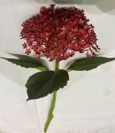 Искусственные цветы "Летняя фантазия" Гортензия 35см цвет бордовый
