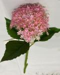 Искусственные цветы "Летняя фантазия" Гортензия 35см цвет розовый