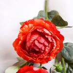 Цветы искусственные "Пион Эльза" d-10 см 64 см, персиковый
