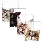 Набор пластиковых обложек ErichKrause Hiding Cats, для тетрадей и дневников, 212х347мм, 80 мкм, ассорти (пакет 12 шт.)