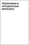 Фогато Вальтер Насекомые в натуральную величину