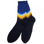 Яркие и цветные | Премиум носки "Деловой стиль", р-р 40-46 (синяя ночь/синий)