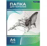 Папка для черчения А4 20л., Alingarr, без рамки, целлюлозный картон, 160г/м2, "Кит"