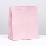 Пакет ламинированный «Розовый», ML 23 * 27 * 11.5 см
