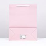 Пакет ламинированный «Розовый», L 31 * 40 * 14 см