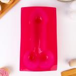 Форма силиконовая для выпечки «Оральное удовольствие», 28 см, цвет розовый 18+