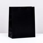 Пакет ламинированный «Черный», M 26 * 32 * 12 см