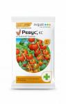 Ревус" (от фитофтороза на луке,томате,картофеле) 3мл пакет /200 (Август) Россия  "