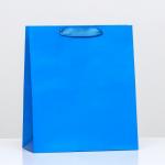 Пакет ламинированный «Синий», 23 х 27 х 11,5 см