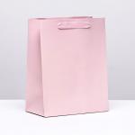Пакет ламинированный «Розовый», MS 18 * 23 * 10 см
