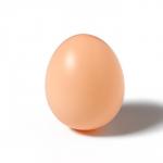 Яйцо искусственное подкладное, для кур, 4 ? 5 см, 1 шт., коричневое