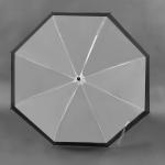 Зонт - трость полуавтоматический «Кант», 8 спиц, R = 43 см, цвет чёрный/прозрачный