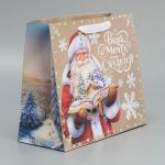 Пакет крафтовый горизонтальный «Дедушка Мороз», ML 27 * 23 * 11.5 см