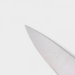Набор ножей кухонных на подставке Ardone, 7 предметов: 5 ножей, мусат и ножницы, цвет хромированный