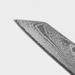 Нож "Ортего" разделочный 20,3см, дамасская сталь AUS-10, 73 слоя