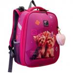 Рюкзак каркасный школьный 38 х 30 х 16 см, эргономичная спинка, Stavia "Йорки", розовый