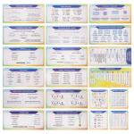 Набор первоклассника в папке Calligrata «Собачки», 70 предметов, с пособиями (20 карточек)