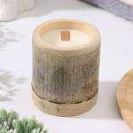 Свеча ароматическая в бамбуке "Бамбуковый ствол", соевый воск,25ч,150 гр, в коробке,8,5х8 см