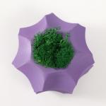Кашпо бетонное "Грани" со мхом фиолетовый 8х8х5см (мох зеленый стабилизированный)