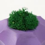 Кашпо бетонное "Грани" со мхом фиолетовый 8х8х5см (мох зеленый стабилизированный)