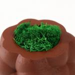 Кашпо бетонное "Пузырьки" со мхом коричневый 8х8х5см (мох зеленый стабилизированный)