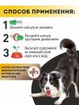 Зоркий взгляд питомца – витамины для глаз. Для собак ALTAI ANIMAL