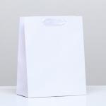 Пакет ламинированный «Белый», 18 х 23 х 10 см