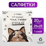 Салфетки бумажные 25*25см Страна Карнавалия