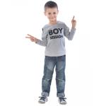 Свитшот детский Boy session ФС5016П2 серый меланж
