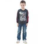 Свитшот детский Biker club ФС5016П4 антрацит