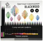 Набор цветных карандашей АРТформат Blackwood 48 цв. трехгран. корп. дерев. карт.уп. супермягкий грифель