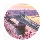 Пазл «Мост Свободы», 150 элементов
