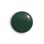 Аэрозольная краска эмаль  Зеленый мох 520мл CORALINO RAL6005