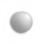 Аэрозольная краска эмаль  Белая Алюминий 520мл CORALINO RAL9006