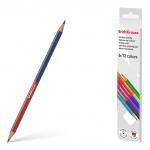 Цветные карандаши деревянные ErichKrause Bicolor трехгранные двусторонние 12 цветов (в коробке с европодвесом 6 шт)