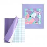 Набор пластик обложек Fizzy Pastel  для тетрадей и дневников, 212х347 мм (пакет 12 шт.)
