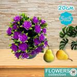 Цветы фиолетовые 20см 5 букетов по 5 цветов