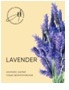 Саше ароматизированное AROMA Spring "Lavender" 10 гр.