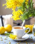 Чай с лимоном и яркая веточка мимозы